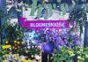 De beste bloemen- en plantenwinkels in Amsterdam De beste bloemen- en plantenwinkels in Amsterdam