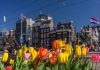 Tulp Festival Amsterdam viert tienjarig bestaan volop in 2024 Tulp Festival Amsterdam viert tienjarig bestaan volop in 2024