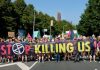 A12 aankondiging acties Extinction Rebellion A12 aankondiging acties Extinction Rebellion