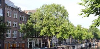 Amsterdam WoningNet: informatie voor woningzoekenden in Amsterdam Amsterdam WoningNet: informatie voor woningzoekenden in Amsterdam