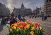 Tulp Festival brengt ode aan Amsterdam 750 Tulp Festival brengt ode aan Amsterdam 750