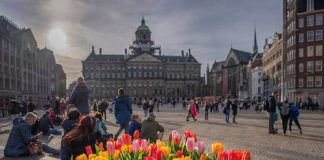Tulp Festival brengt ode aan Amsterdam 750 Tulp Festival brengt ode aan Amsterdam 750