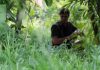 Amsterdamse Bos is eerste ‘Green Escape’ locatie van Nederland Amsterdamse Bos is eerste 'Green Escape' locatie van Nederland