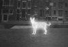 Phantasmopolis: Een spookachtige verbeelding van Amsterdam Phantasmopolis: Een spookachtige verbeelding van Amsterdam