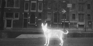 Phantasmopolis: Een spookachtige verbeelding van Amsterdam Phantasmopolis: Een spookachtige verbeelding van Amsterdam