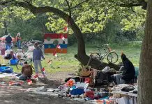 Koningsdag in Amsterdam vieren? Alles wat je moet weten!