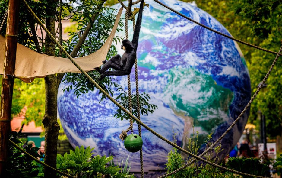 Aardbewoners Festival in ARTIS