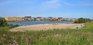 Vrienden van het Diemerpark: “Beschermers van unieke natuuroase in Amsterdam"
