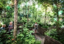 Voor één dag een Verjaardagbos tijdens Festival Op de Ring A10