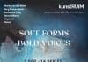 Groepsexpositie ‘Soft Forms, Bold Voices’ bij kunstRUIM Groepsexpositie ‘Soft Forms, Bold Voices’ bij kunstRUIM