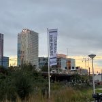cinema the pulse