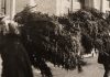 Hoe kwam de kerstboom in Amsterdam terecht? Hoe kwam de kerstboom in Amsterdam terecht?