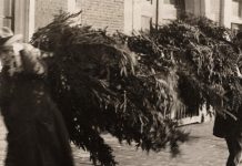 Hoe kwam de kerstboom in Amsterdam terecht?