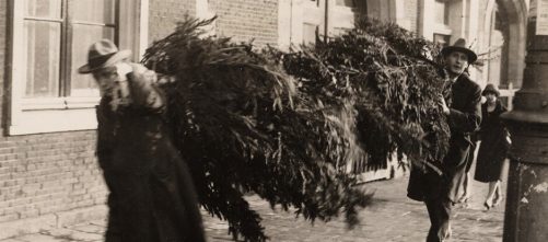 Hoe kwam de kerstboom in Amsterdam terecht?