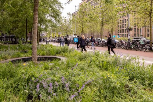 Groenere entree van Knowledge Mile park aan Wibautstraat
