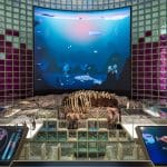 artis aquarium