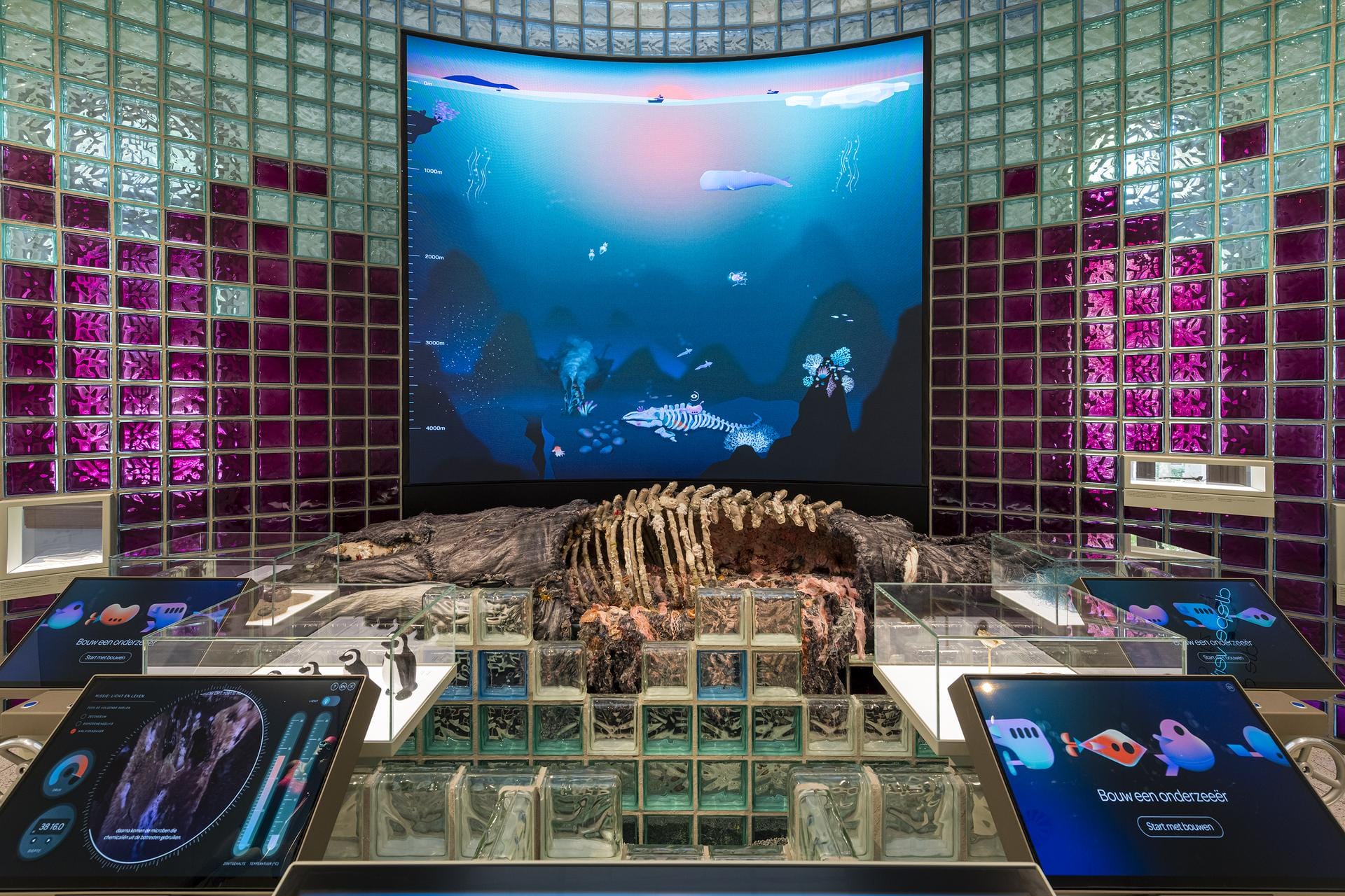 Duik in het nieuwe ARTIS-Aquarium vanaf zaterdag 13 juni