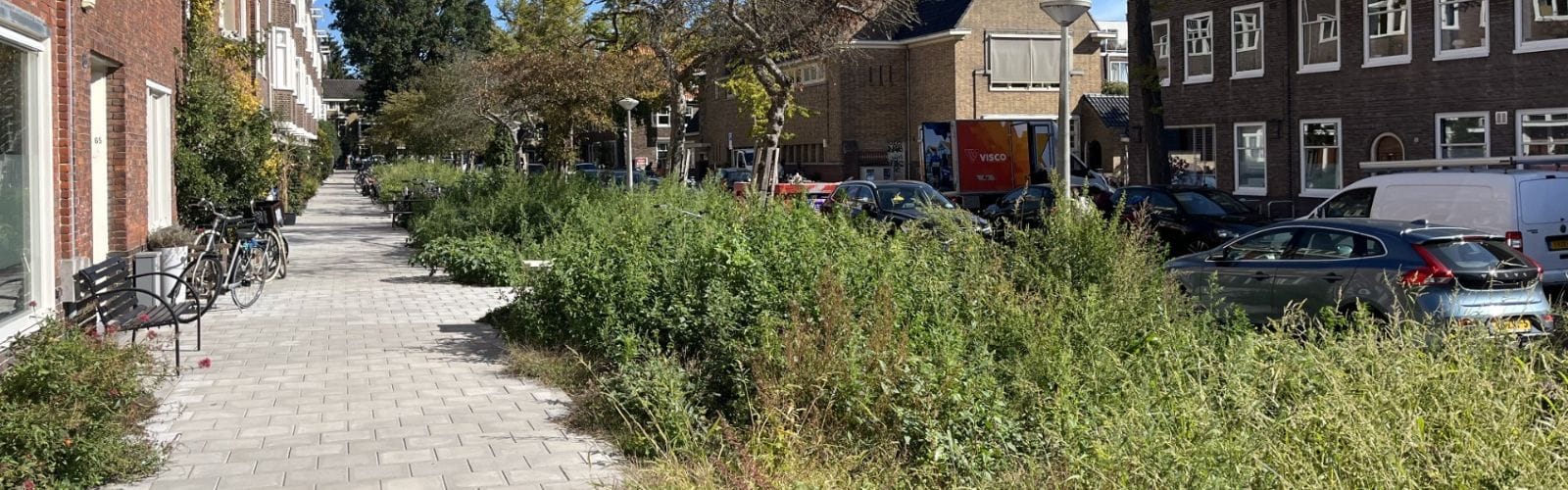 Middenmeer Noord krijgt meer groen en vernieuwd buurtplein