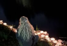 Allerzielen in het Noorderpark: “dierbaren herdenken met een lotusbloem in vijver” Allerzielen in het Noorderpark: “dierbaren herdenken met een lotusbloem in vijver”